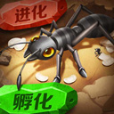 荷露游戏