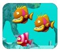 丝路运通司机版APP